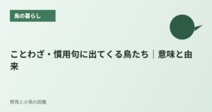 ことわざ・慣用句に出てくる鳥たち｜意味と由来