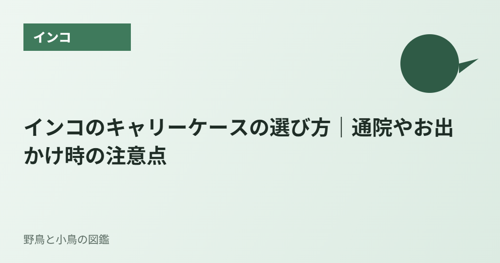 インコのキャリーケースの選び方|通院やお出かけ時の注意点