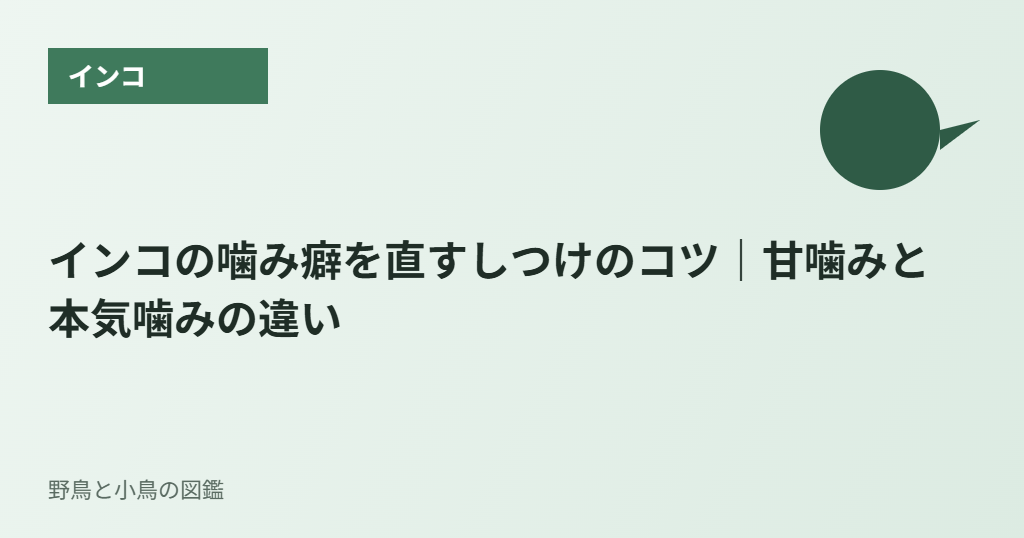インコの噛み癖を直すしつけのコツ|甘噛みと本気噛みの違い