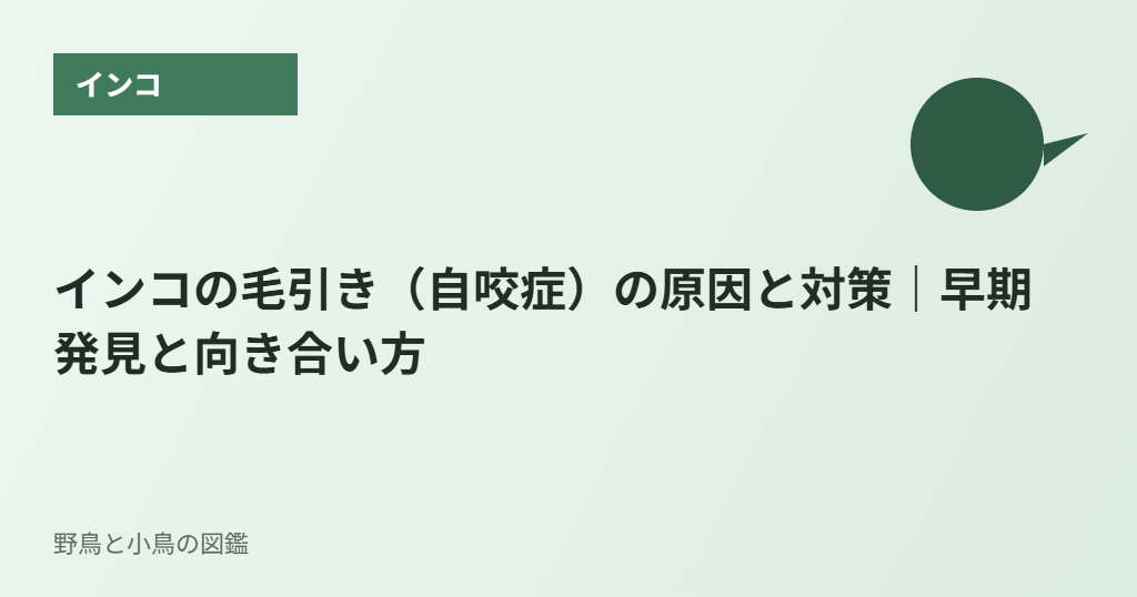 インコの毛引き（自咬症）の原因と対策｜早期発見と向き合い方
