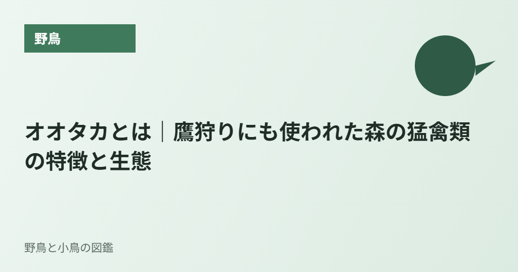 オオタカとは|鷹狩りにも使われた森の猛禽類の特徴と生態