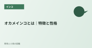 オカメインコとは｜特徴と性格