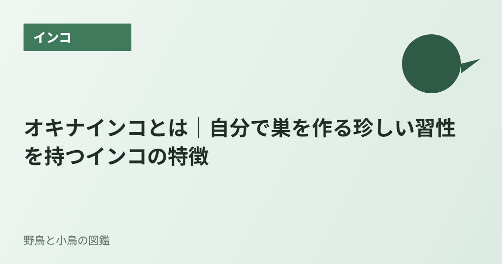 オキナインコとは|自分で巣を作る珍しい習性を持つインコの特徴