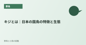 キジとは｜日本の国鳥の特徴と生態