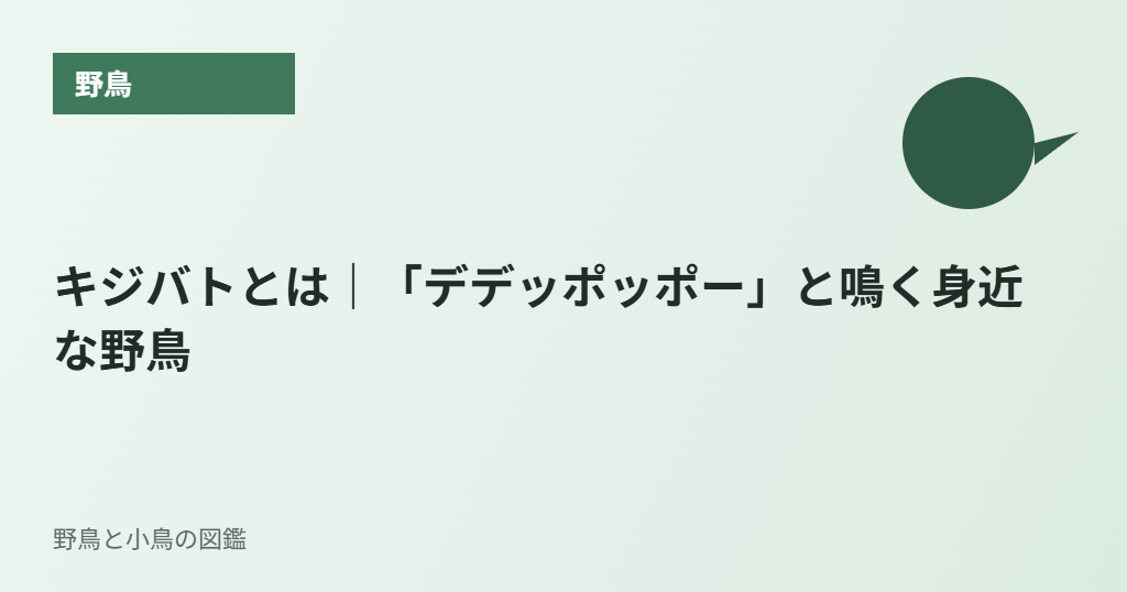 キジバトとは|「デデッポッポー」と鳴く身近な野鳥