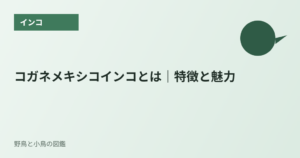 コガネメキシコインコとは｜特徴と魅力