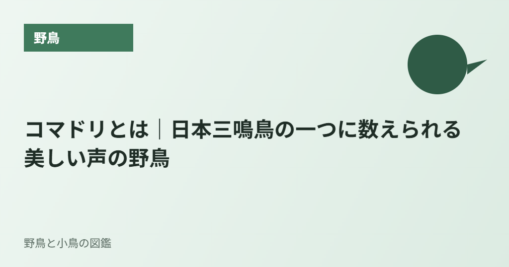 コマドリとは|日本三鳴鳥の一つに数えられる美しい声の野鳥