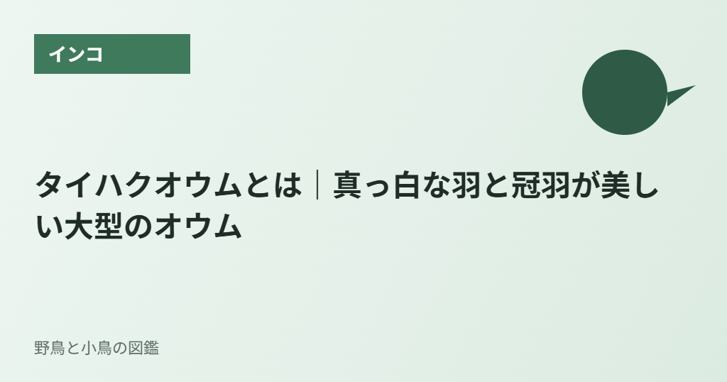 タイハクオウムとは｜真っ白な羽と冠羽が美しい大型のオウム