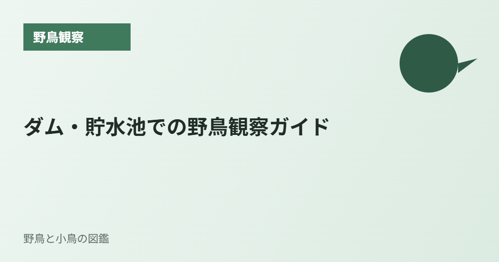 ダム・貯水池での野鳥観察ガイド