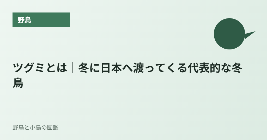 ツグミとは｜冬に日本へ渡ってくる代表的な冬鳥