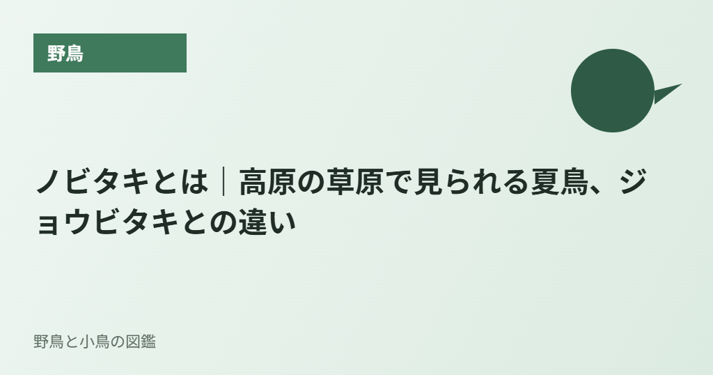 ノビタキとは｜高原の草原で見られる夏鳥、ジョウビタキとの違い