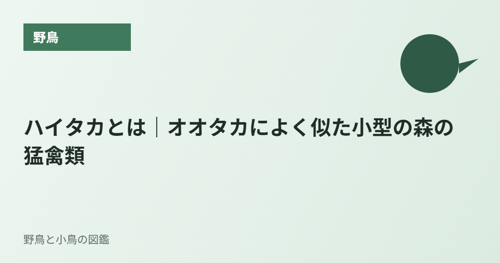 ハイタカとは｜オオタカによく似た小型の森の猛禽類