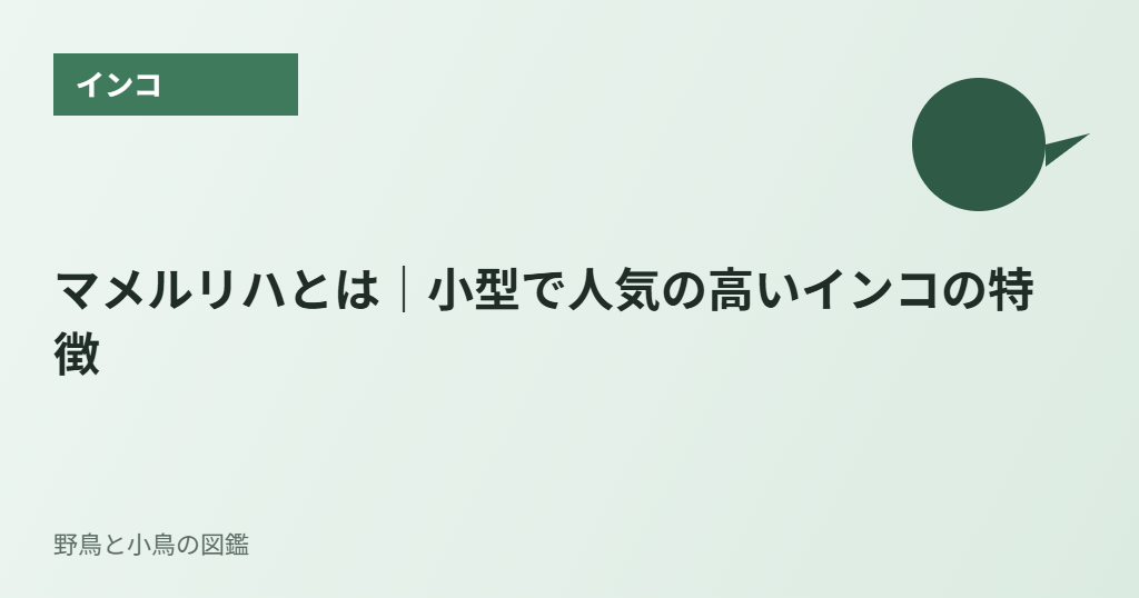 マメルリハとは|小型で人気の高いインコの特徴