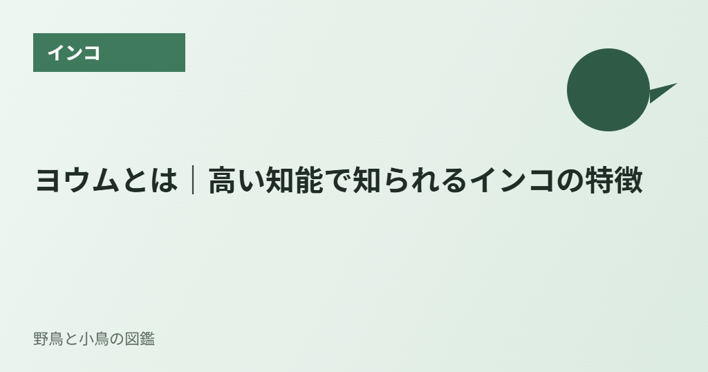 ヨウムとは|高い知能で知られるインコの特徴