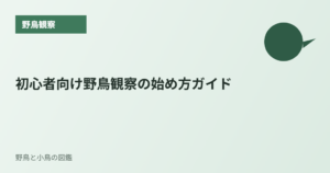 初心者向け野鳥観察の始め方ガイド