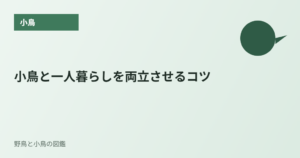 小鳥と一人暮らしを両立させるコツ
