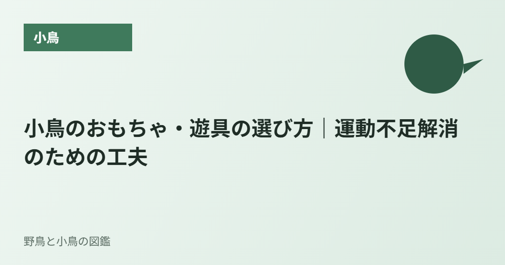 小鳥のおもちゃ・遊具の選び方｜運動不足解消のための工夫