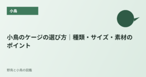 小鳥のケージの選び方｜種類・サイズ・素材のポイント