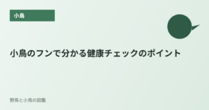 小鳥のフンで分かる健康チェックのポイント
