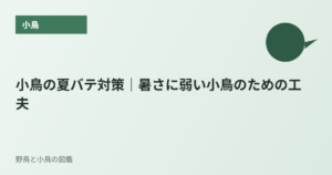 小鳥の夏バテ対策｜暑さに弱い小鳥のための工夫