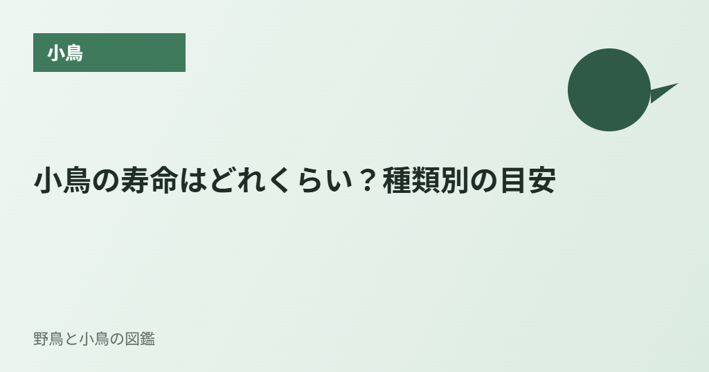 小鳥の寿命はどれくらい?種類別の目安