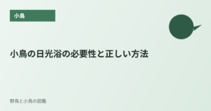 小鳥の日光浴の必要性と正しい方法