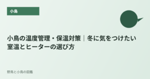 小鳥の温度管理・保温対策｜冬に気をつけたい室温とヒーターの選び方