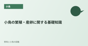小鳥の繁殖・産卵に関する基礎知識
