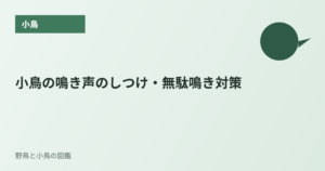 小鳥の鳴き声のしつけ・無駄鳴き対策