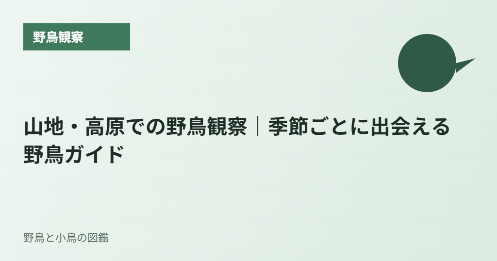 山地・高原での野鳥観察|季節ごとに出会える野鳥ガイド