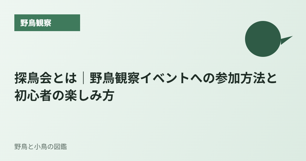 探鳥会とは|野鳥観察イベントへの参加方法と初心者の楽しみ方