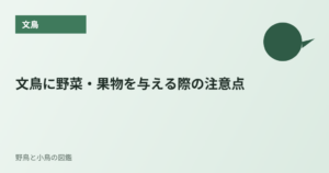 文鳥に野菜・果物を与える際の注意点