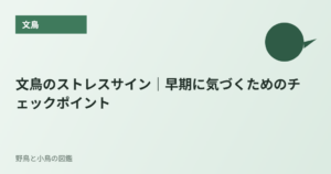 文鳥のストレスサイン｜早期に気づくためのチェックポイント