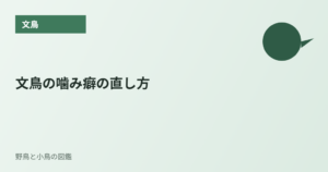 文鳥の噛み癖の直し方