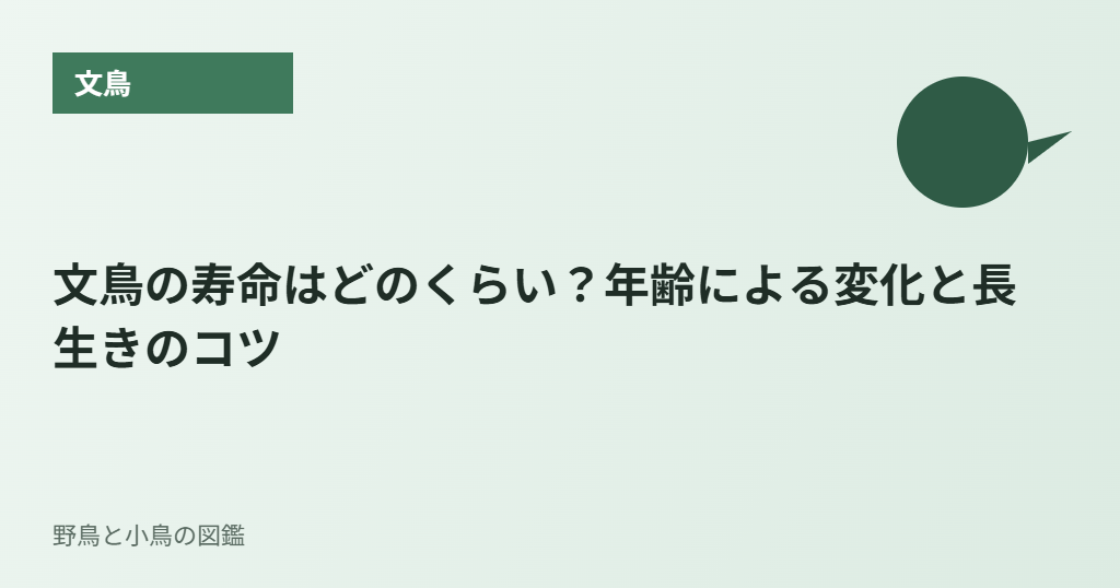 文鳥の寿命はどのくらい?年齢による変化と長生きのコツ