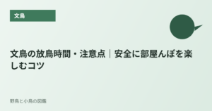 文鳥の放鳥時間・注意点｜安全に部屋んぽを楽しむコツ