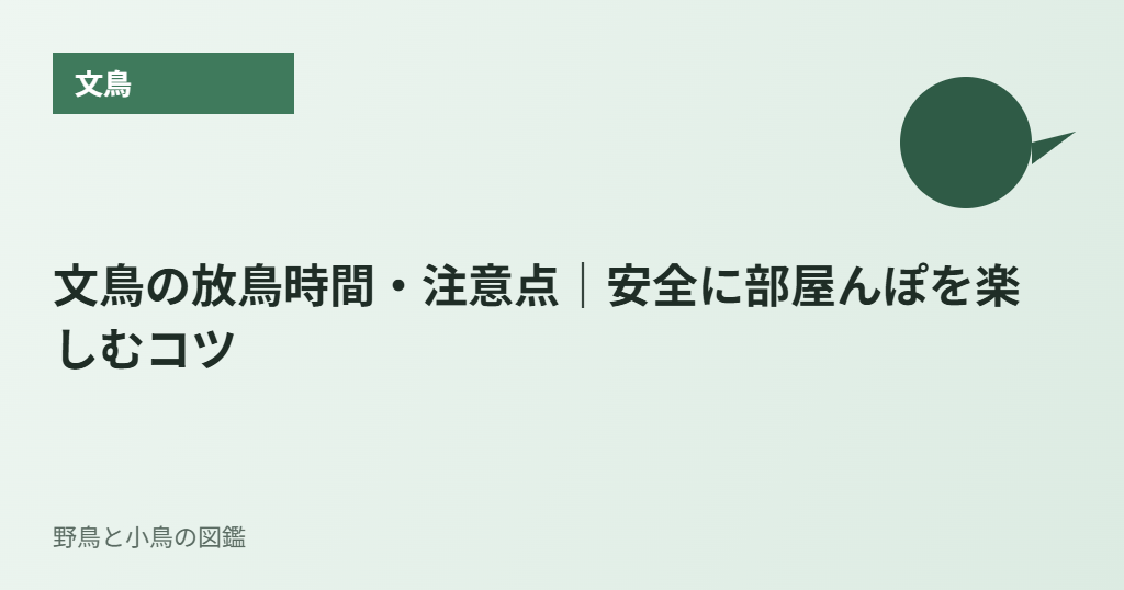 文鳥の放鳥時間・注意点｜安全に部屋んぽを楽しむコツ