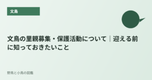 文鳥の里親募集・保護活動について｜迎える前に知っておきたいこと