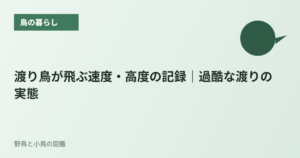 渡り鳥が飛ぶ速度・高度の記録｜過酷な渡りの実態