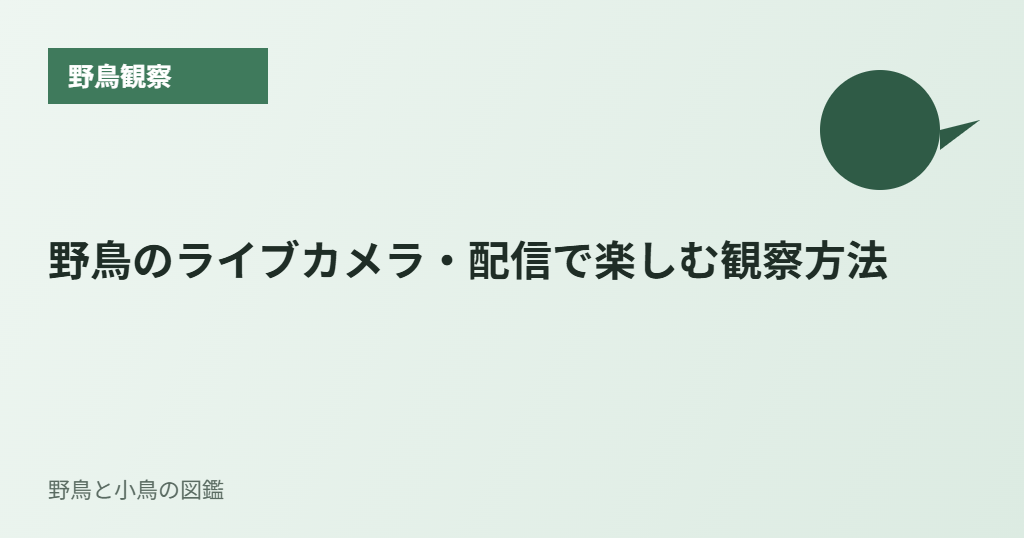 野鳥のライブカメラ・配信で楽しむ観察方法