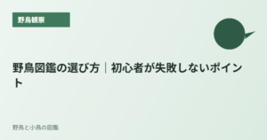 野鳥図鑑の選び方｜初心者が失敗しないポイント
