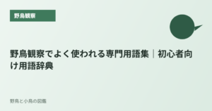 野鳥観察でよく使われる専門用語集｜初心者向け用語辞典
