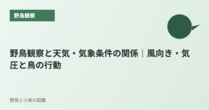野鳥観察と天気・気象条件の関係｜風向き・気圧と鳥の行動