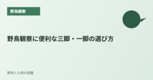 野鳥観察に便利な三脚・一脚の選び方