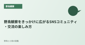 野鳥観察をきっかけに広がるSNSコミュニティ・交流の楽しみ方
