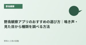 野鳥観察アプリのおすすめの選び方｜鳴き声・見た目から種類を調べる方法
