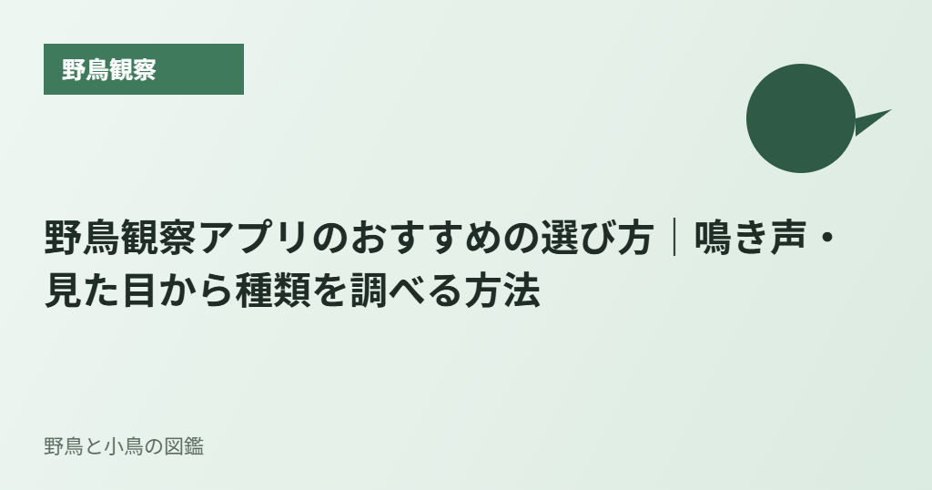 野鳥観察アプリのおすすめの選び方｜鳴き声・見た目から種類を調べる方法