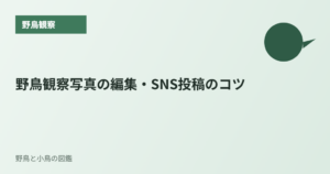 野鳥観察写真の編集・SNS投稿のコツ