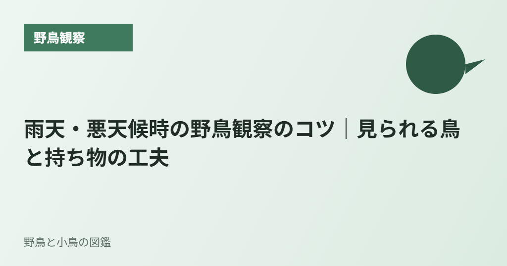 雨天・悪天候時の野鳥観察のコツ｜見られる鳥と持ち物の工夫
