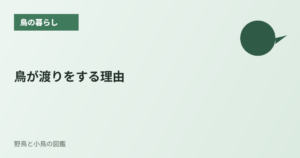 鳥が渡りをする理由
